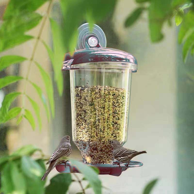 Smart Bird Feeder Camera - Hanging Bird Feeder Transparent Plastic Automatic