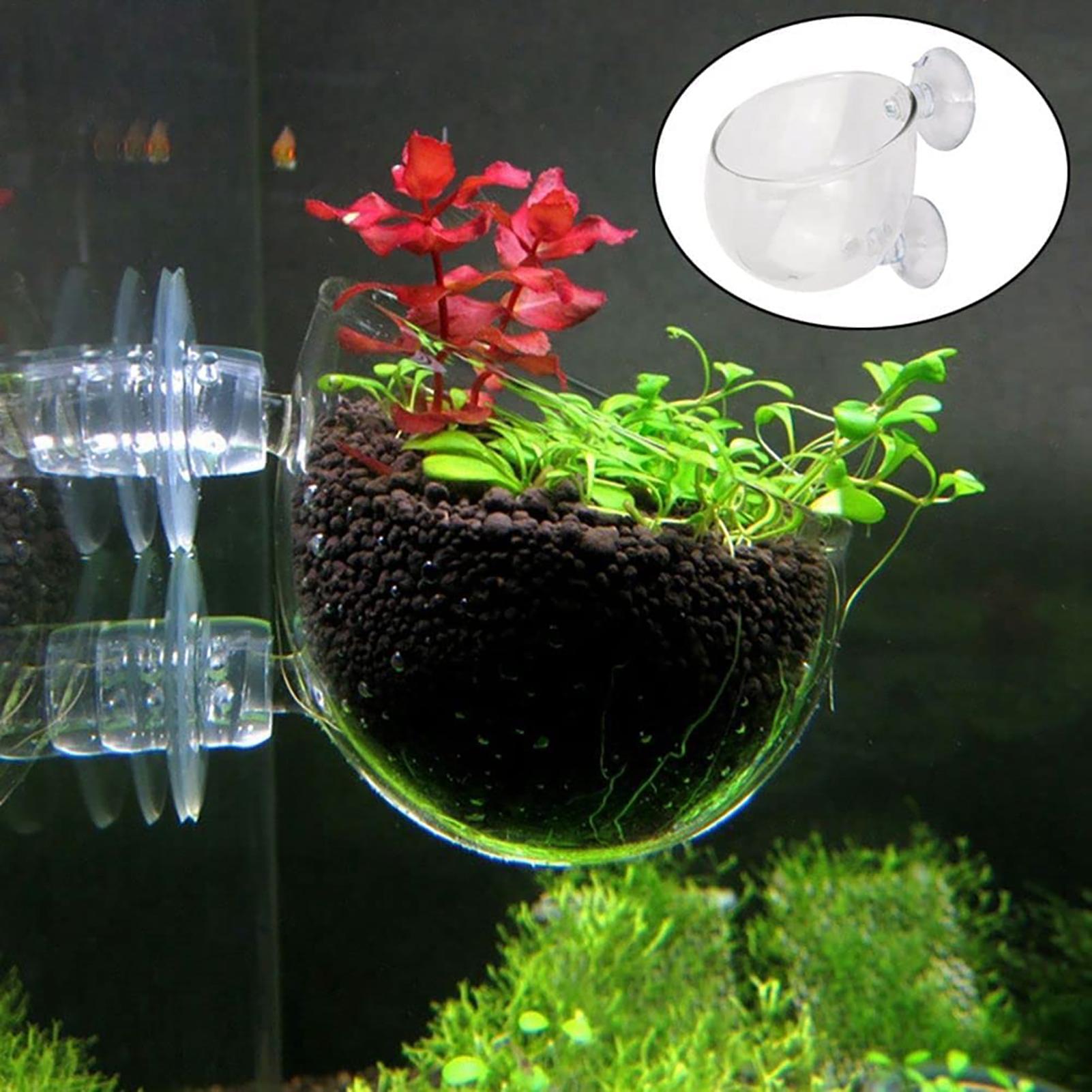 Hydroponic Grow Pod - Aquatic Plant Pot Clear Acrylic Aquarium