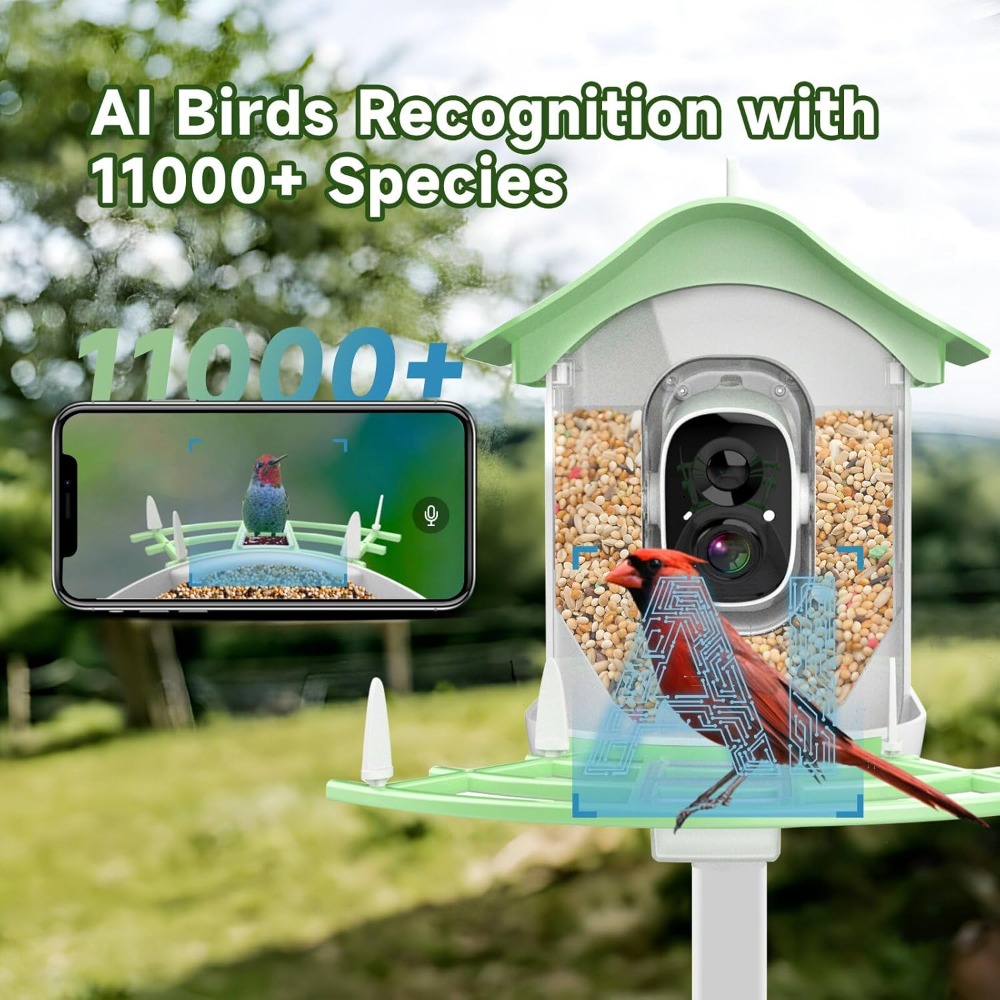 Solar Powered Smart Bird Feede - Smart Bird Feeder Camera recension och pris