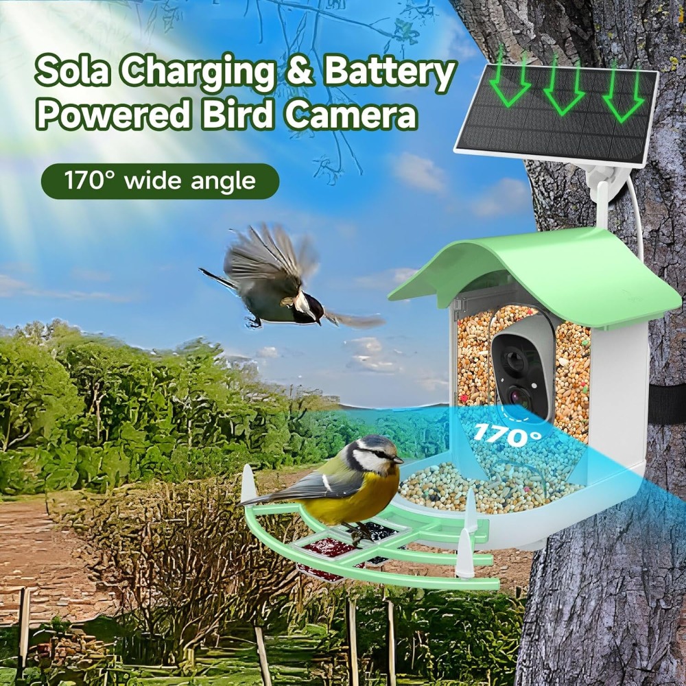 Solar Powered Smart Bird Feede - Smart Bird Feeder Camera recension och pris
