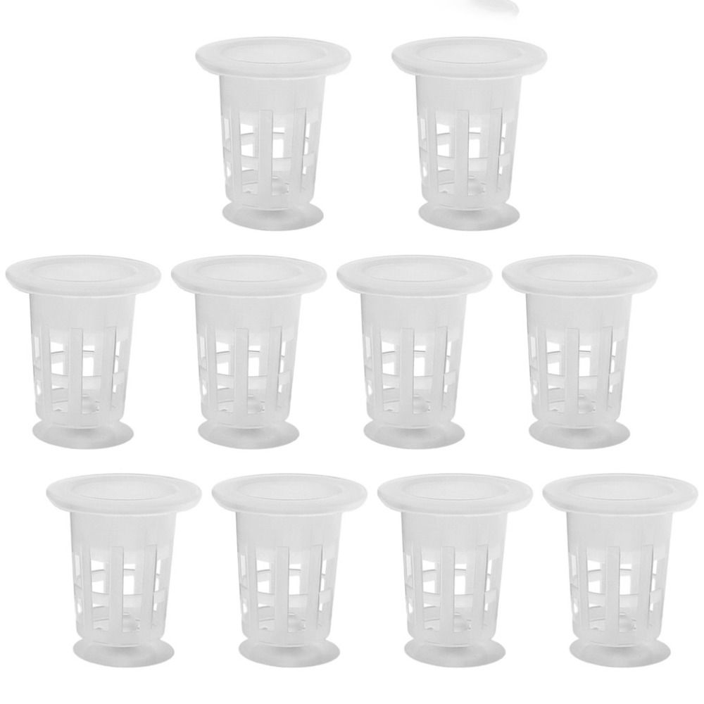 10Pcs Transparent Plant Hydrop - Hydroponic Grow Pod recension och pris