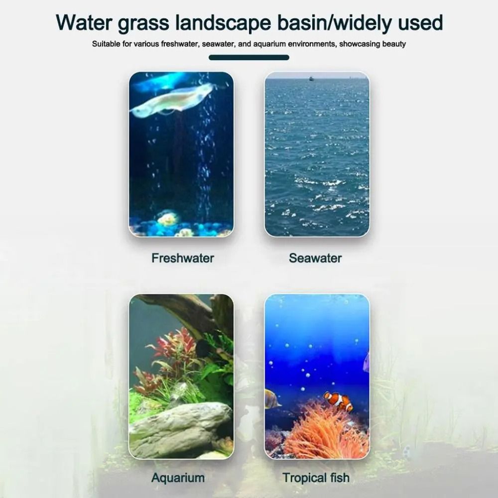 10Pcs Transparent Plant Hydrop - Hydroponic Grow Pod recension och pris