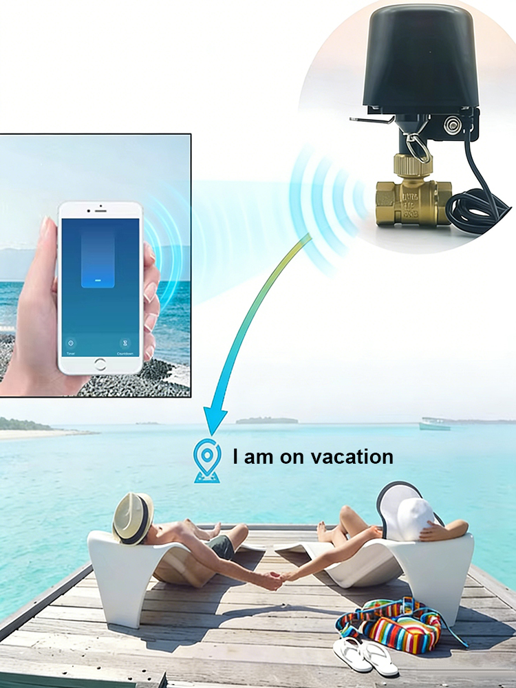 Tuya Smart Water Valve​ DN15/D - Smart Garden Home Assistant recension och pris