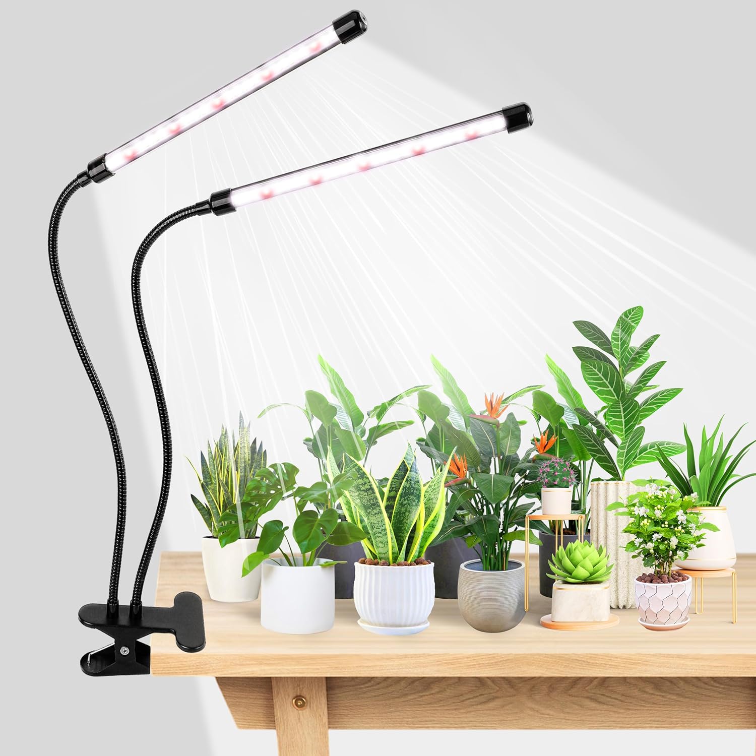 KEBINCPLED USB 5V Clip Plant G - Hydroponic Grow Pod recension och pris