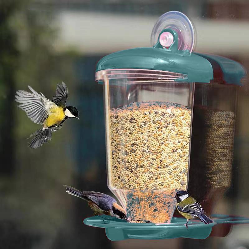 Hanging Bird Feeder Transparen - Smart Bird Feeder Camera recension och pris