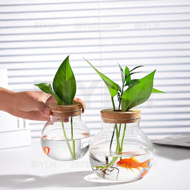 Hydroponic Plant Glass Vase Wi - Hydroponic Grow Pod recension och pris