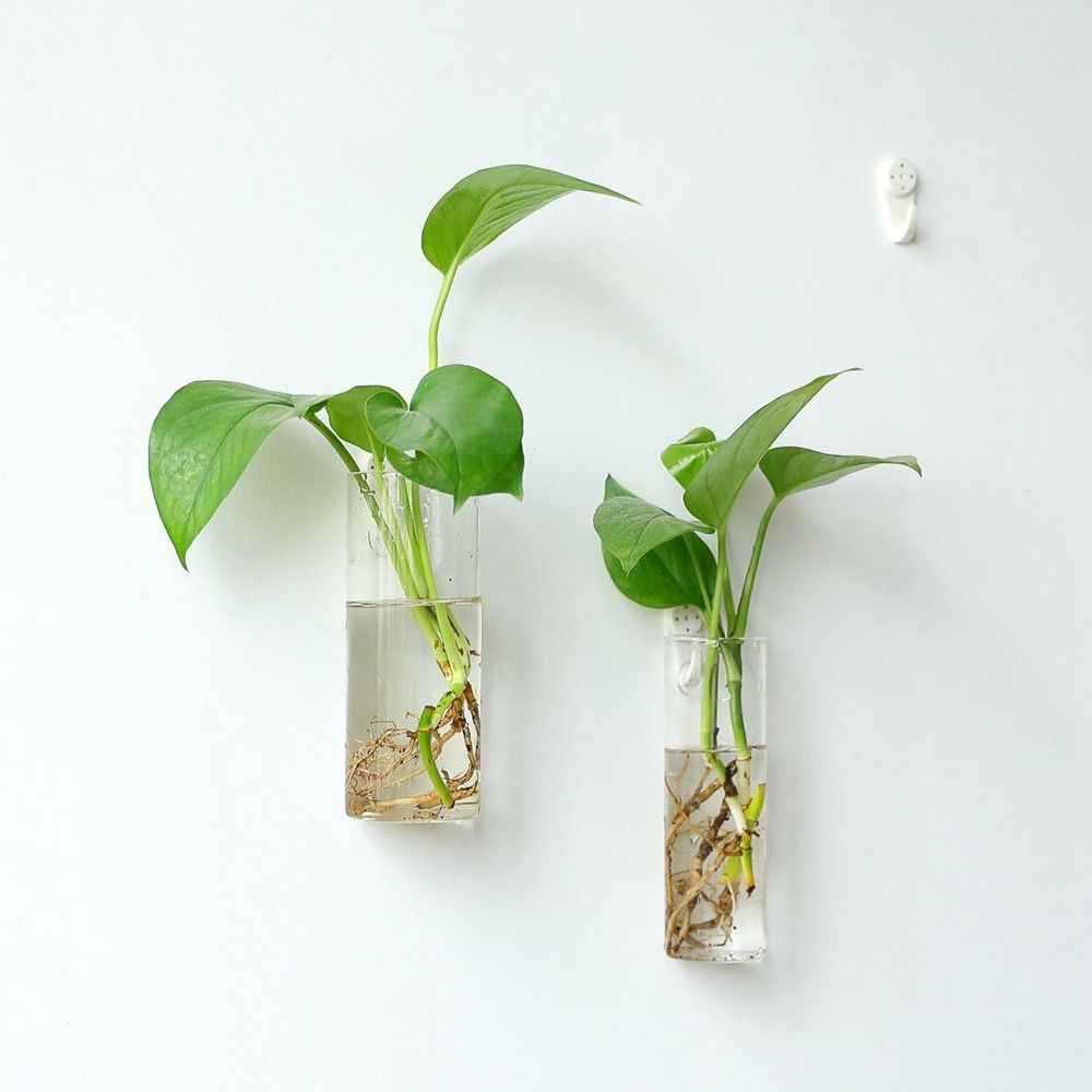 Hydroponic Plants Purify House - Hydroponic Grow Pod recension och pris