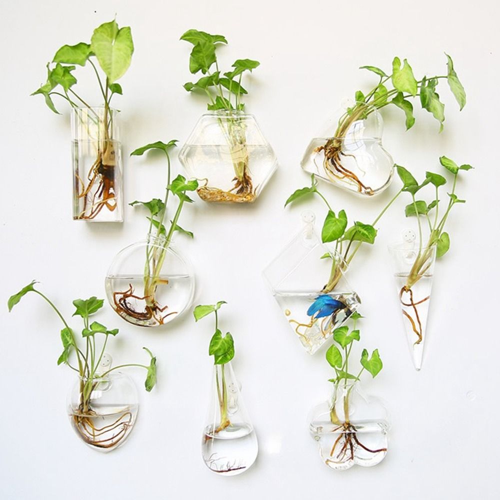Hydroponic Plants Purify House - Hydroponic Grow Pod recension och pris