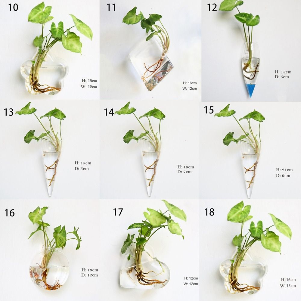 Hydroponic Plants Purify House - Hydroponic Grow Pod recension och pris