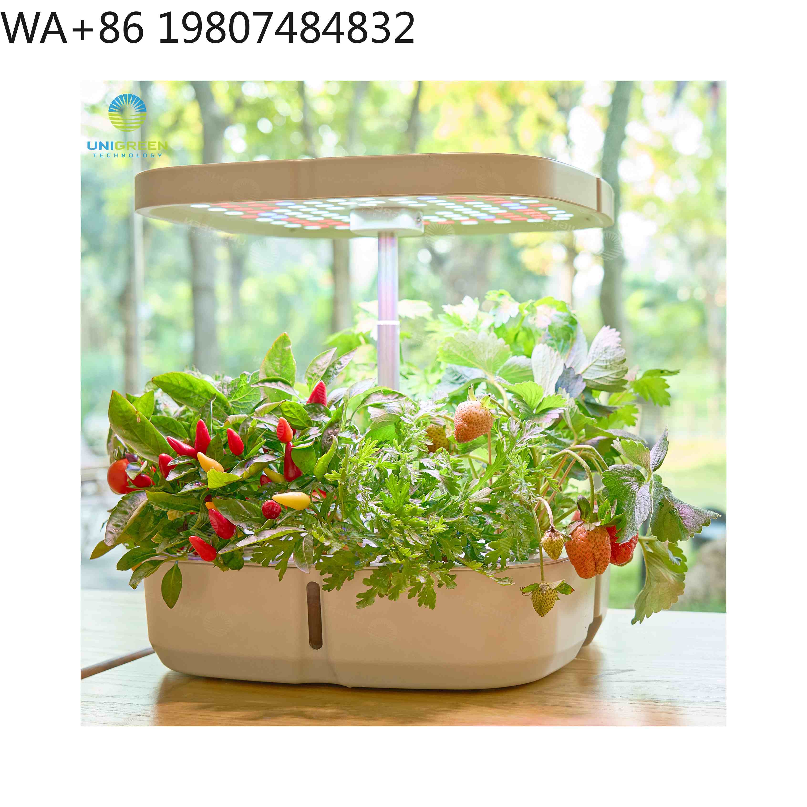 8 Pod  Mini Hydroponic Grow Bo - Hydroponic Grow Pod recension och pris