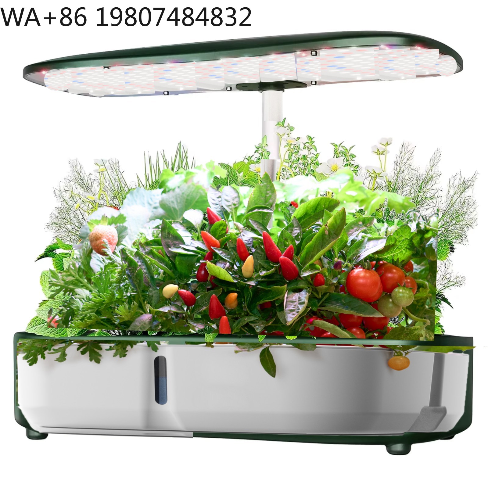 8 Pod  Mini Hydroponic Grow Bo - Hydroponic Grow Pod recension och pris