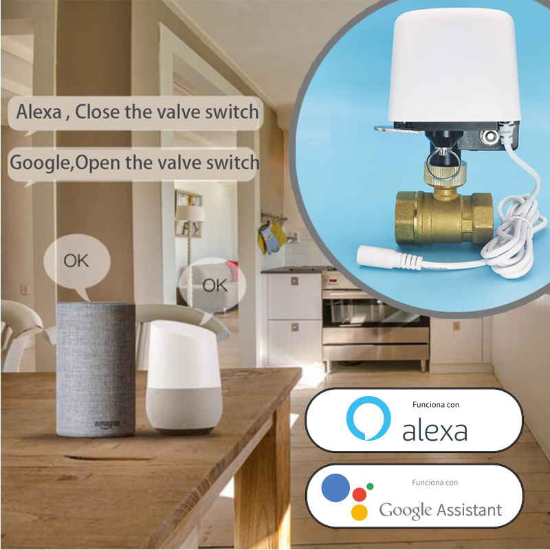 Smart Tuya WiFi Zigbee Water V - Smart Garden Home Assistant recension och pris