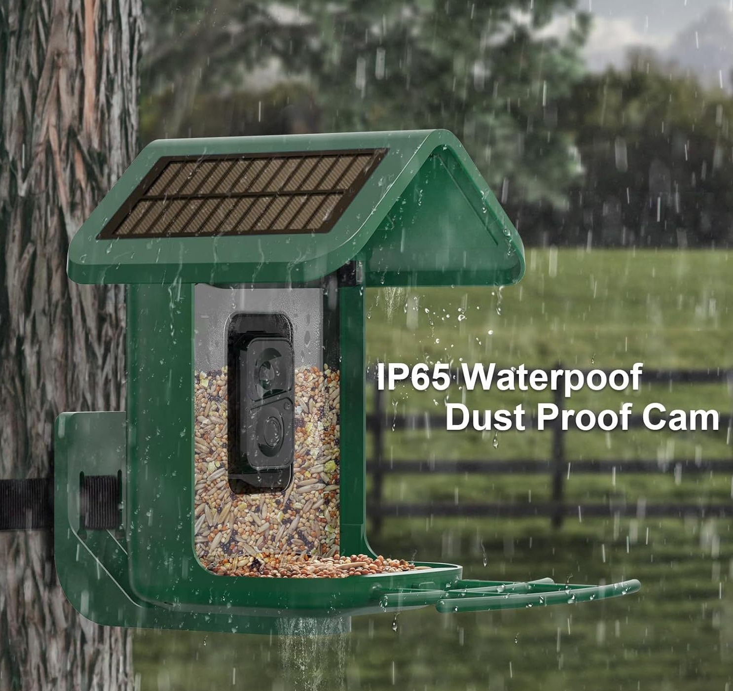 Smart Bird Feeder with Camera  - Smart Bird Feeder Camera recension och pris