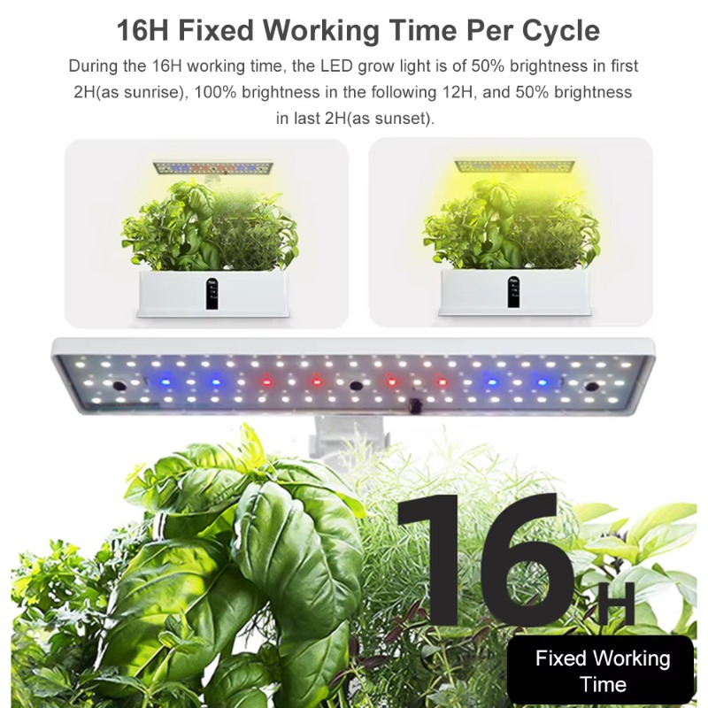 9 Pods Smart Hydroponics Growi - Smart Garden Indoor recension och pris