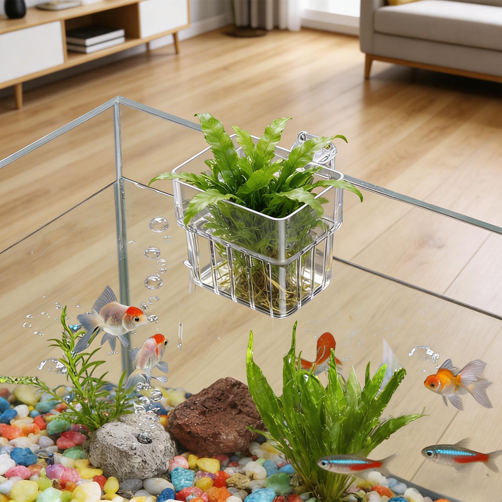 Transparent Hangable Aquarium  - Hydroponic Grow Pod recension och pris