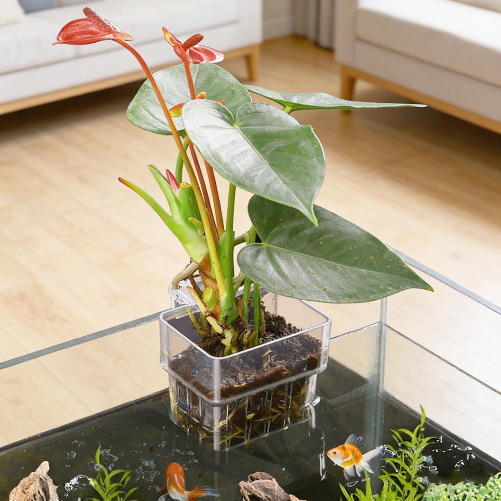 Transparent Hangable Aquarium  - Hydroponic Grow Pod recension och pris