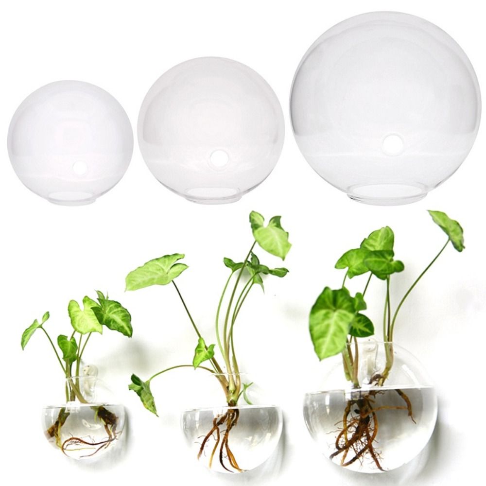 Transparent Glass Vase Wall Ha - Hydroponic Grow Pod recension och pris