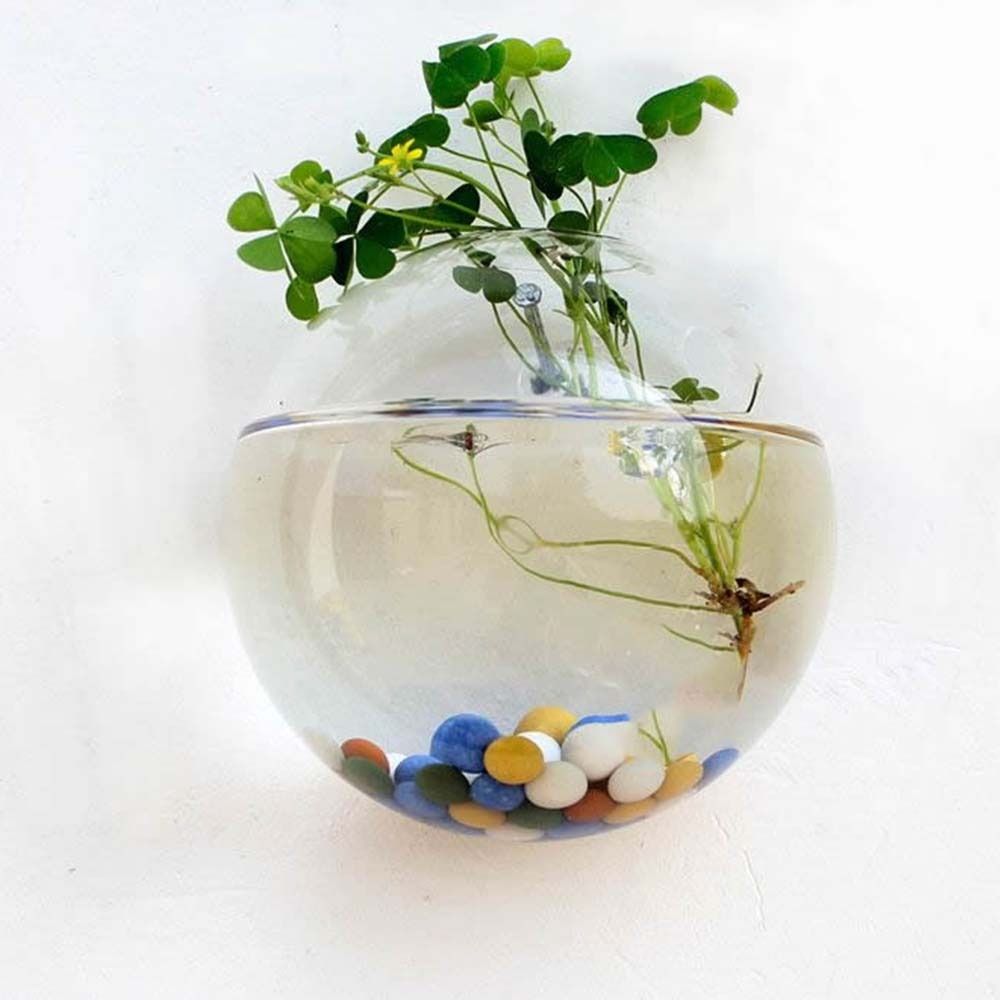 Transparent Glass Vase Wall Ha - Hydroponic Grow Pod recension och pris