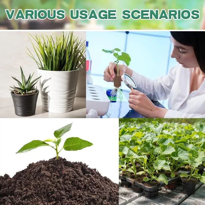 Seedling Starter Sponge Kit fo - Hydroponic Grow Pod recension och pris