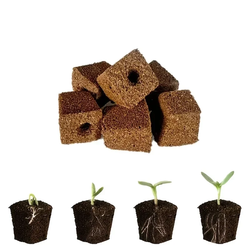 Seedling Starter Sponge Kit fo - Hydroponic Grow Pod recension och pris