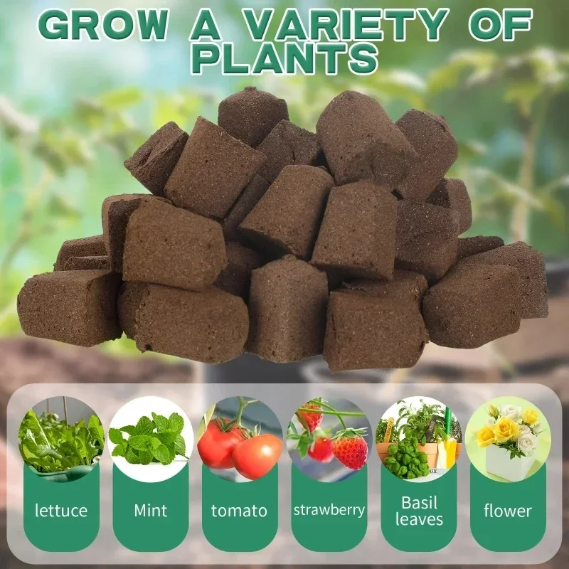 Seedling Starter Sponge Kit fo - Hydroponic Grow Pod recension och pris