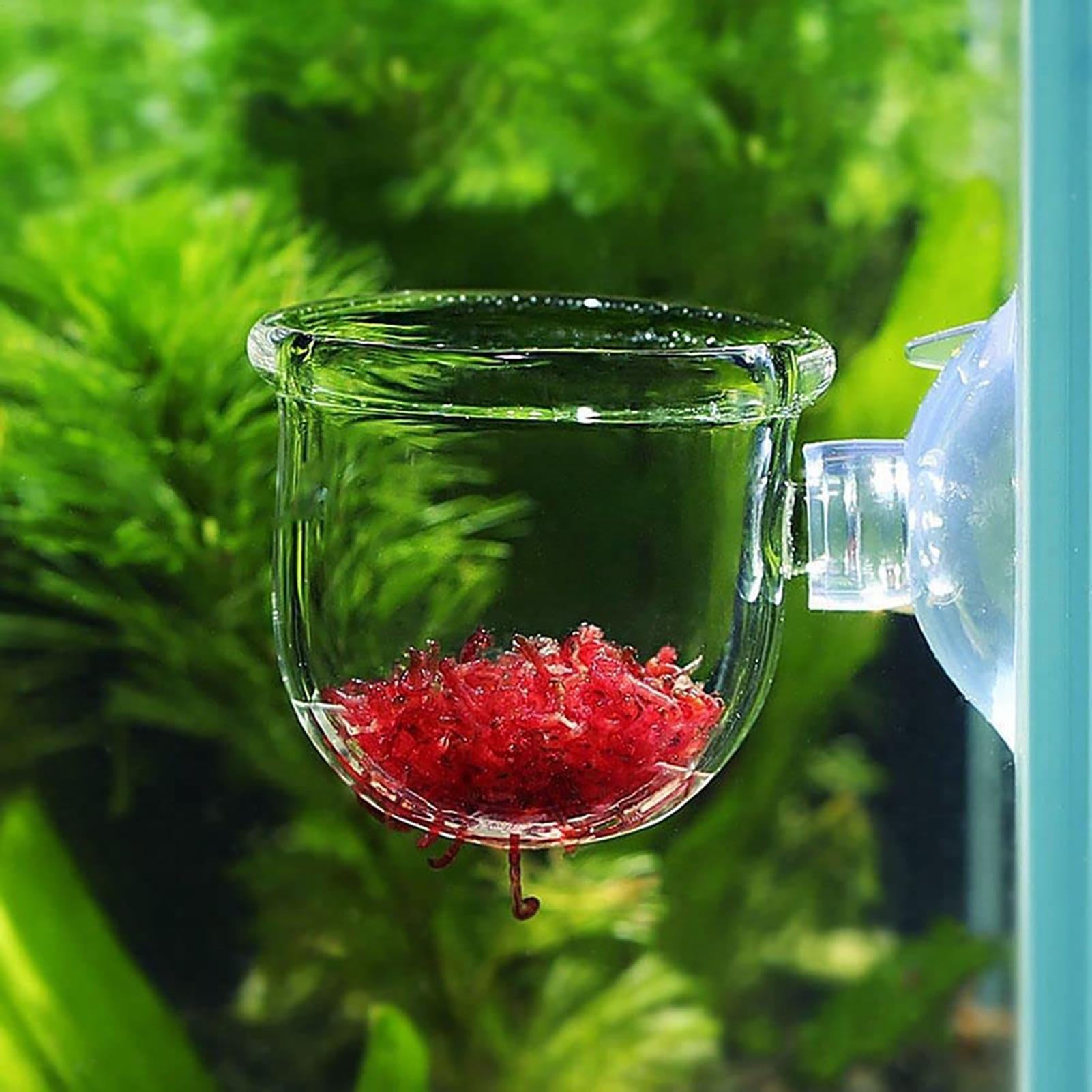 Aquatic Plant Pot Clear Acryli - Hydroponic Grow Pod recension och pris
