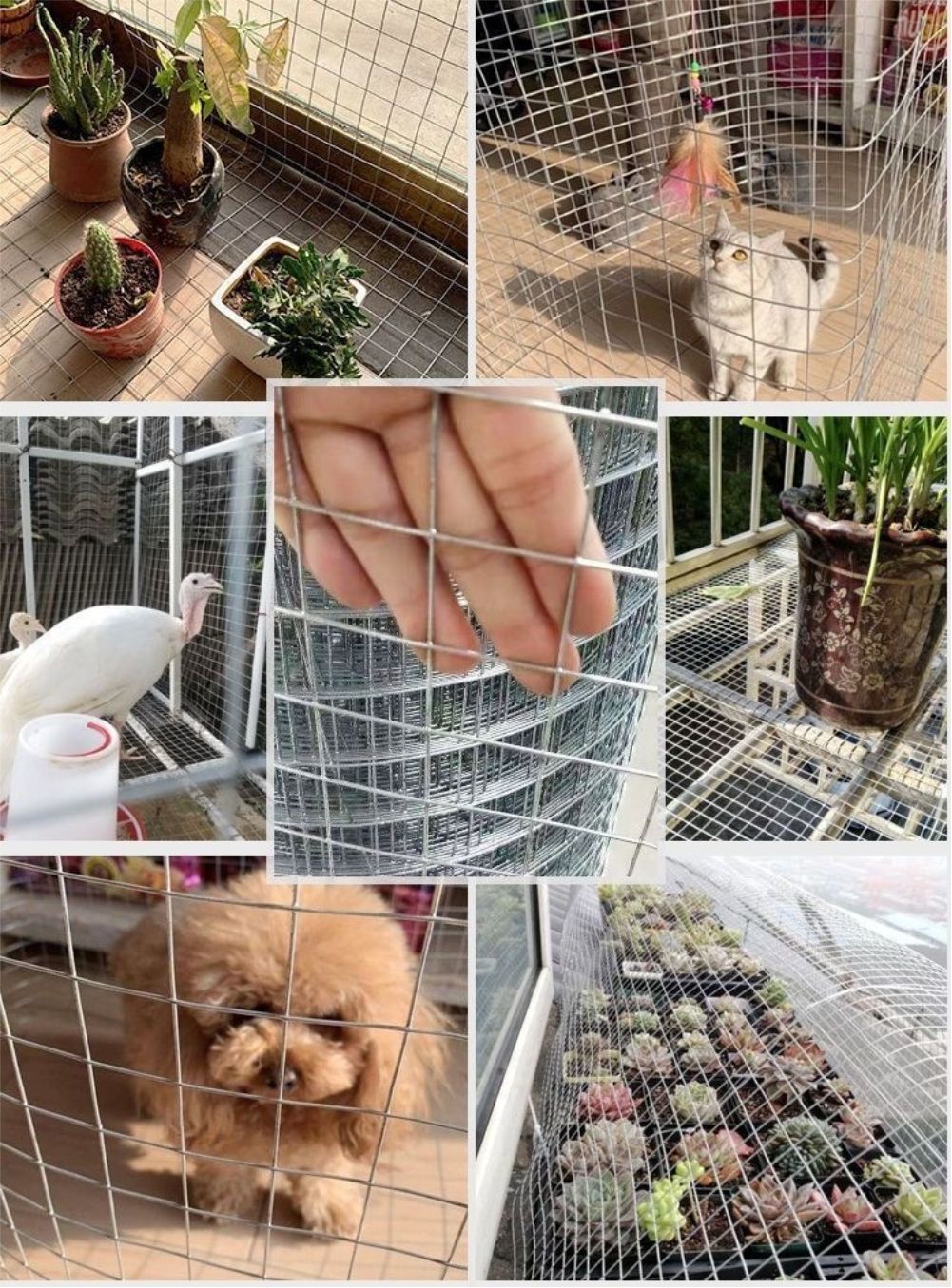 Hot Dip Galvanized Breeding We - Smart Garden Fence recension och pris