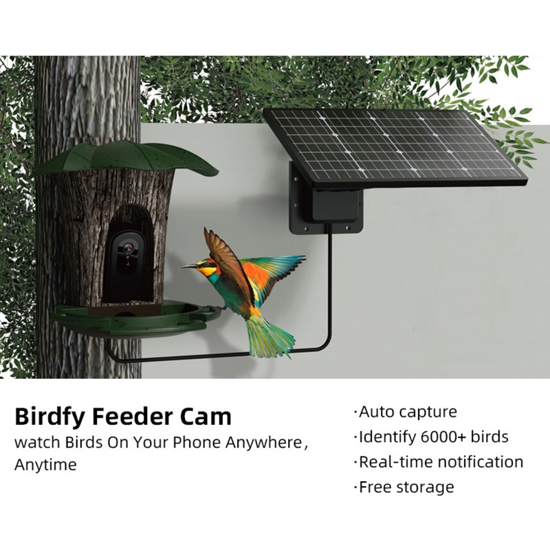 Solar AI Smart Bird Feeder Bir - Smart Garden Ai recension och pris
