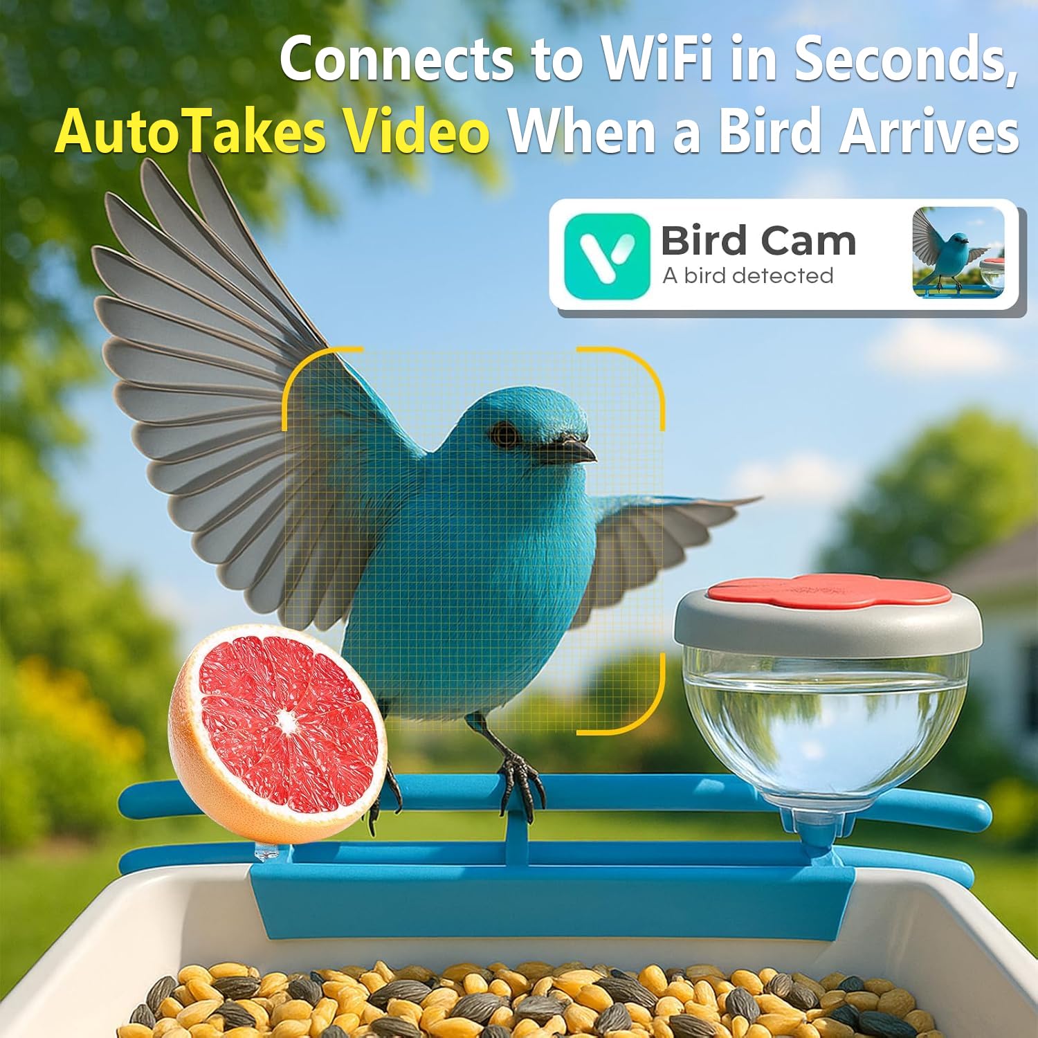 Smart Bird Feeder Camera 2K Li - Smart Bird Feeder Camera recension och pris