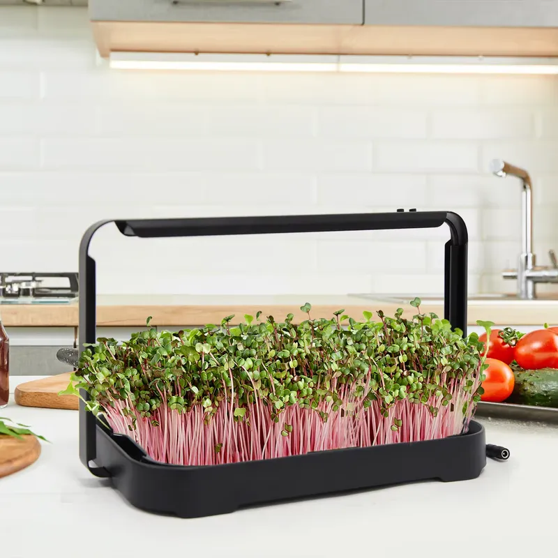 Hydroponic Tray Indoor Microgr - Smart Garden Indoor recension och pris
