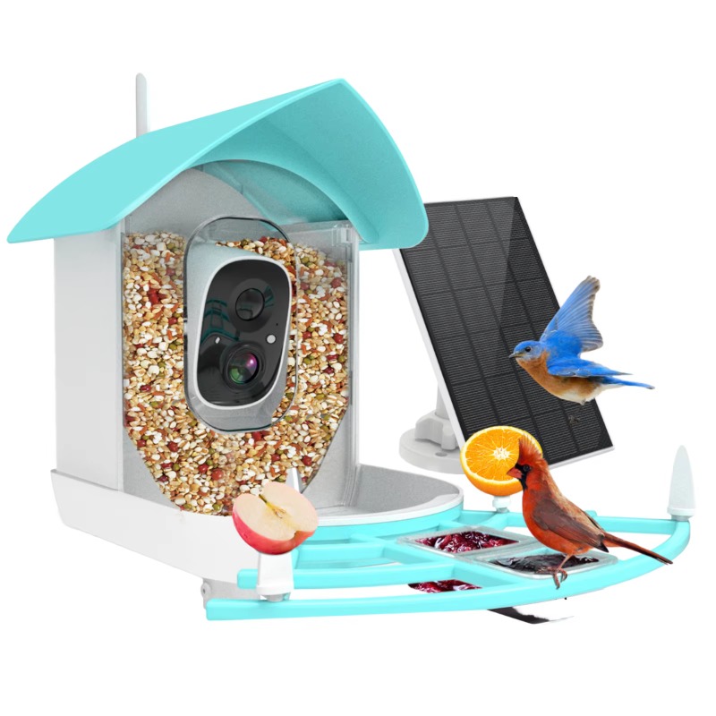 Smart Bird Feeder Night Vision - Smart Bird Feeder Camera recension och pris
