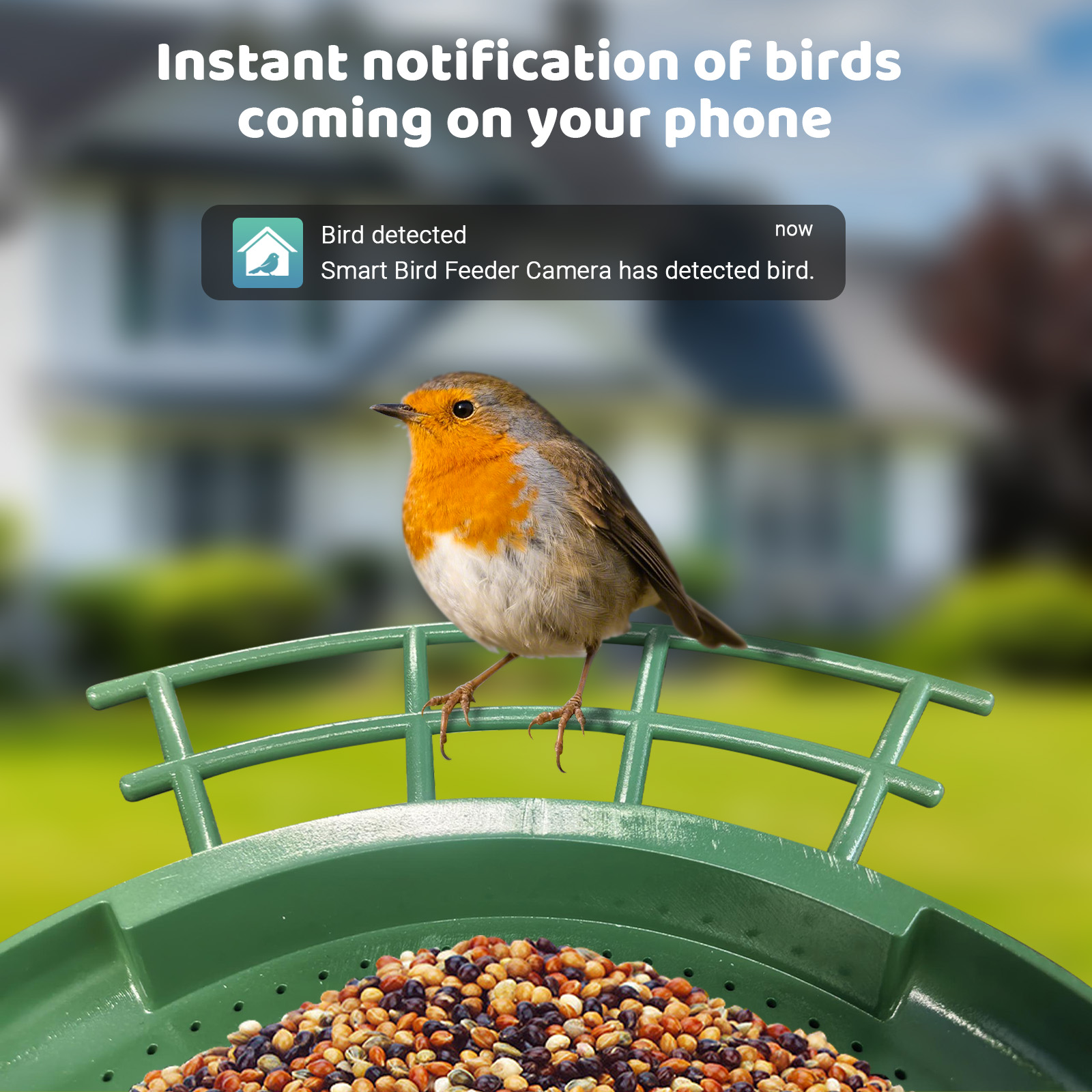 Smart Dual Camera Bird Feeder  - Smart Bird Feeder Camera recension och pris