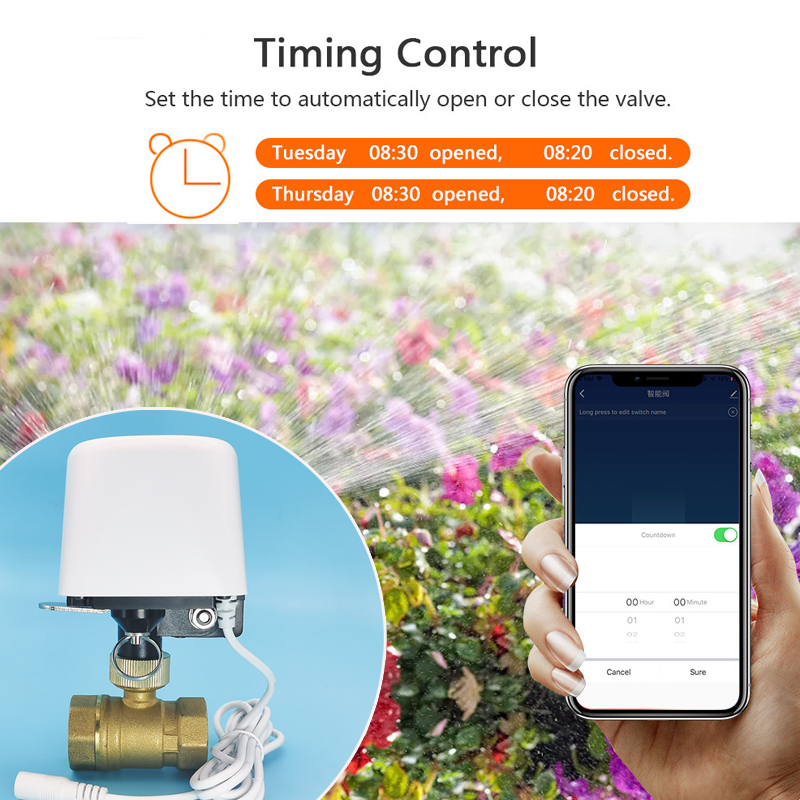 Wifi  Zigbee Tuya Water Valve  - Smart Garden Home Assistant recension och pris
