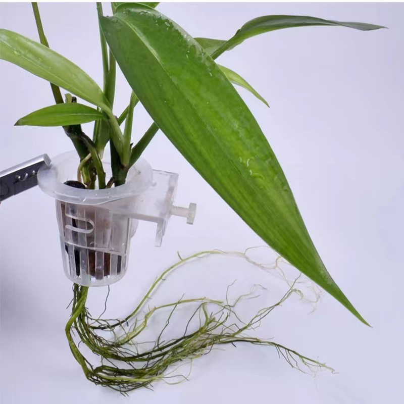 Aquarium Planting Basket Hydro - Hydroponic Grow Pod recension och pris