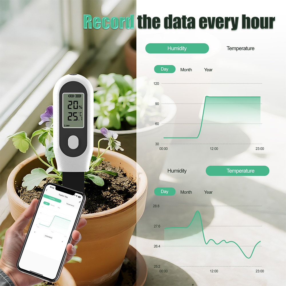 Tuya Zigbee 3 in 1 Soil Temper - Smart Garden Home Assistant recension och pris