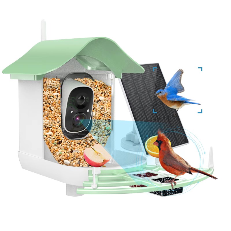 2026 App Video Auto Capture Ca - Smart Bird Feeder Camera recension och pris