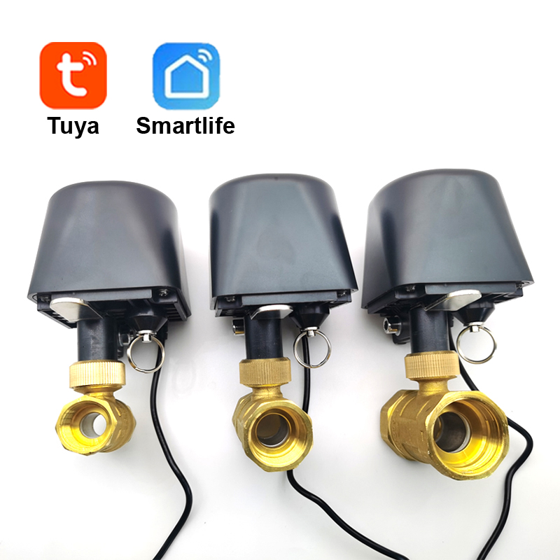 Tuya WiFi or Zigbee Water Valv - Smart Garden Water recension och pris